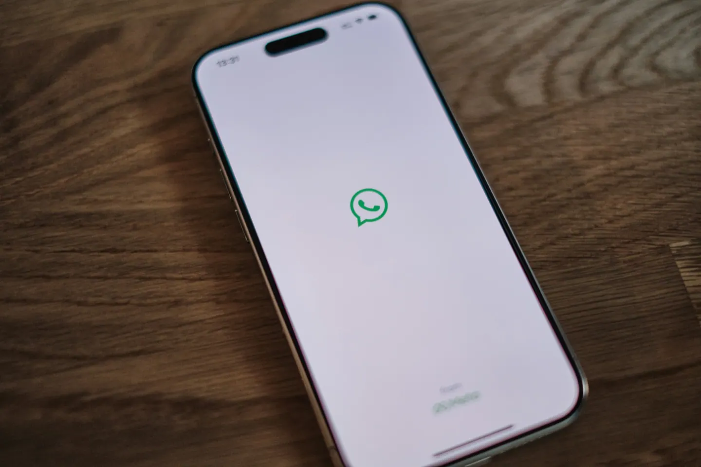 WhatsApp sipariş ve müşteri iletişimi